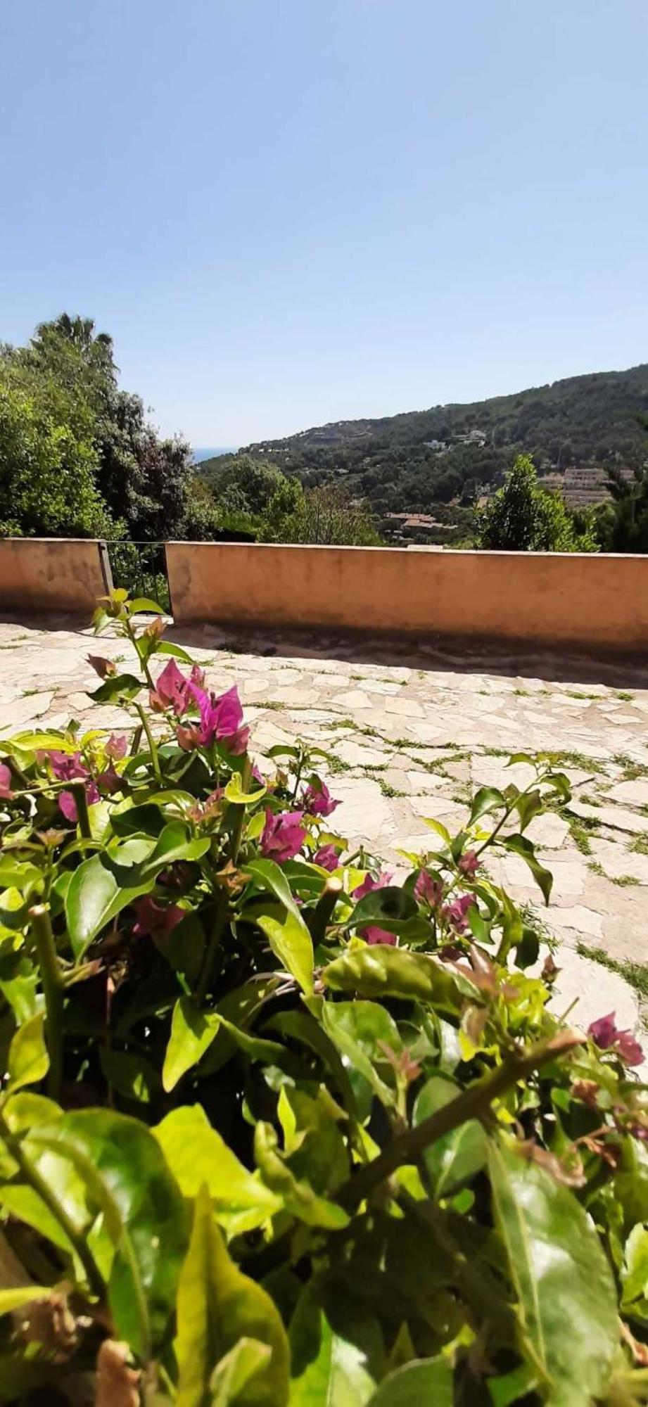 Corti Mori Sa Riera Vistas Mediterraneas Begur Extérieur photo